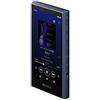 Sony Walkman Sony NW-A306 NW-A307 serie A tipo di memoria Nero Blu Grigio Musica 2023