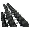 Blue Gym Set Manubri Esagonali Gommati da 2,5 Kg a 30 Kg (12 paia) - Peso Totale 390kg