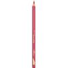 L'Oreal Color Riche Le Lip Liner Matita Labbra 302