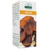 Dr. Giorgini Reishi 180 Pastiglie