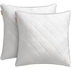 SONGMICS HOME Cuscini Letto Set da 2, Usi su 2 Lati, 60 x 60 cm, Federa Rinfrescante, Imbottitura 650 g, Inverno Estate, Lavabile in Lavatrice e Asciugabile Inferiore a 60°C, Bianco Nuvola TBP025W01