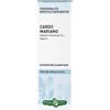 ERBA VITA GROUP SpA CARDO MARIANO SOL IAL 50ML EBV
