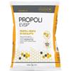 Propoli EVSP Caramelle Gusto Menta Eucalipto