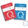 Pigna Blocco spiralato 120 fogli Pigna Quablock a 4 fori A4 1R 02000011R