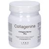 Labo International Srl Collagenina Integratore 240 g Polvere per soluzione orale
