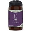 ERBA VITA GROUP SPA Platinum - PEA Integratore Alimentare Antiossidante 60 Capsule