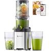 AMZCHEF 113MM Estrattore frutta e verdura - 2L estrattore a freddo Facile da Pulire - Senza Preparazione Estrattore di Frutta e Verdura Intera - Argento[Classe di efficienza energetica A+++]