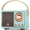 Caulikine Altoparlante Bluetooth Portatile Speaker Bluetooth Vintage Wireless Compatto per Interno ed Esterno Regalo Amica Decorazioni Casa Regali di Compleanno per Ragazzi Adolescenti, Ragazze, Uomini (Blu)