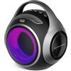 TREVI Altoparlante Bluetooth Wireless Potenza 20 Watt colore Nero e Grigio - 0XR8A20200