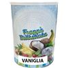AL Ice-Cream 1 kg Barattolo Frappè Milkshake Vaniglia con Misurino SENZA GLUTINE