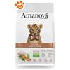 Amanova Cat Kitten Equisite Chicken - Sacco Da 300 Gr