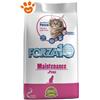 Forza10 Cat Maintenance Pesce - Sacco Da 2 Kg