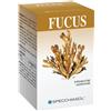 SPECCHIASOL Srl FUCUS ERBE 150 TAVOLETTE SPECCHIASOL