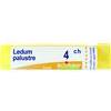 BOIRON Srl LEDUM PALUSTRE Tubo 4CH