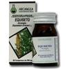 ARCANGEA Srl EQUISETO 60CPS 500MG ARCANGEA