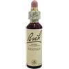 NATUR Srl BACH CENTER ESS GENTIAN 20ML