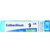 BOIRON Srl Boiron - Colibacillinum 9ch granuli