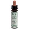 SANTIVERI Sa AINSWORTHS WILLOW 10ML