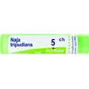 BOIRON Srl BO.NAJA TRIPUDIANS 5CH TUBO