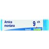 BOIRON Srl BO.ARNICA MONTANA 9CH DOSE