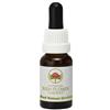 BUSH BIOTHERAPIES Pty Ltd RED HELMET ORCHID AUSTR15ML GT
