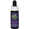 NATUR Srl POISON OAK ESS 7,5ML CALF