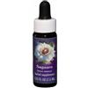 NATUR Srl SAGUARO ESS 7,4ML CALF