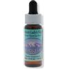 NATUR Srl NORTHEN LADY'S SLIPPER 7,5Ml ALA
