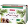 NATURWAREN ITALIA Srl Naturplus Tisana Pino Mugo con Eucalipto e Liquirizia, 20 Filtri, Integratore Alimentare, Tisana Balsamica