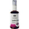 BUSH BIOTHERAPIES Pty Ltd AUS BUSH EQUILIBRIO DONNA VAP