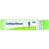 BOIRON Srl COLIBACILLINUM 5CH GR