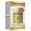 DR.GIORGINI SER-VIS Srl MAGNESIUM Comp.Polv.100g SVS