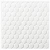 COLOPLAST SpA BIATAIN FIBER TNT GEL 15X15 5P