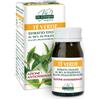 DR.GIORGINI SER-VIS Srl THE Verde Estr.Tit 60Past.SVS
