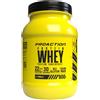 PROACTION Srl FIT WHEY PROTEIN VANIGLIA 900G