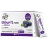 MARCO VITI FARMACEUTICI SpA DR VITI DRENANTE FORTE MIRTILLO 28 STICK PACK SENZA ZUCCHERI