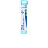 BOIRON SRL RHUS TOXICODENDRON*9CH 80GR 4G
