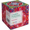 E.FA.S. SpA Colors Candela Profumata Forest Sour, 120 g