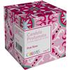 E.FA.S. SpA Colors Candela Profumata Pink Rose, 120 g