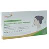 Hotgen TEST ANTIGENICO RAPIDO COVID-19 HOTGEN AUTODIAGNOSTICO DETERMINAZIONE QUALITATIVA ANTIGENI SARS-COV-2 IN TAMPONI NASALI MEDIANTE IMMUNOCROMATOGRAFIA