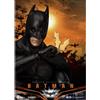 BEAST KINGDOM DC COMICS DYNAMIC HEROES 118 BATMAN BEGINS 1/9 21 cm PVC ACTION FI