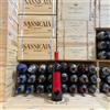 Piantate Lunghe Rosso Conero DOC 2021 Piantate Lunghe