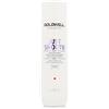 Goldwell Dualsenses Just Smooth Taming Shampoo 250 ml