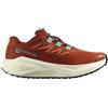 Salomon Scarpe running donna Salomon Aero Blaze 3 GRVL Burnt Ochre/Vanilla Ice/Vanilla Ice UK 5
