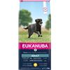 EUKANUBA 15 kg Eukanuba Alimento Cibo Secco Crocchette Croccantini per Cani Adulti di Taglia Grande Ricco di Pollo Fresco
