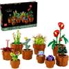 LEGO ICONS BOTANICAL 10329 - PIANTINE