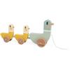 JANOD Anatre per tirare Janod Sweet Cocoon