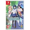 Nintendo Pretty Girls Game Collection 2 - Nintendo Switch, good