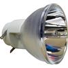 OPTOMA SP.8VH01GC01 BL-FP190D BL-FP190E LAMPADA OSRAM SENZA SUPPORTO (SOLO BULBO)