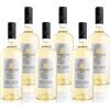 MASI MODELLO PINOT GRIGIO 2024 | Pinot Grigio delle Venezie DOC | 750 ml | 6 bottiglie